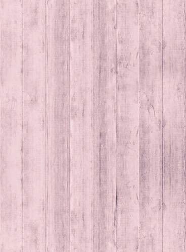 发卡网自动的ddos攻击工具