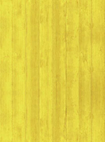 服务器攻击软件