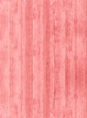 服务器攻击软件